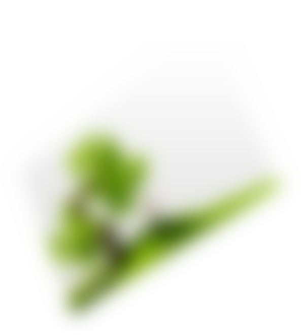 Identidad Corporativa layer 2