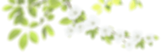 Render y Animación layer 2