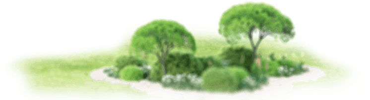 Render y Animación layer 3