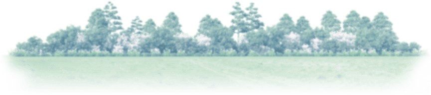 Render y Animación layer 6